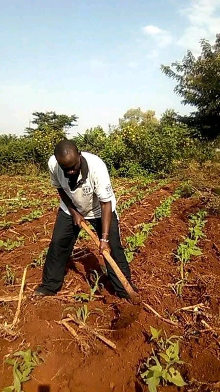 Peshem Farm founder working the land