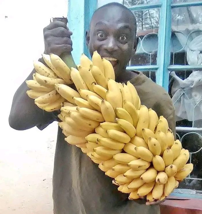 Bananas